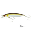 DAIWA SHORE LINE SHINER Z VERTICE 97 F COLOR CHIAYU