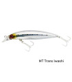 DAIWA SHORE LINE SHINER Z VERTICE 80 S COLOR TRANS IWASHI