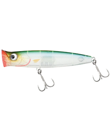 FISHUS UBUNTU 155 TRANSLUCID AYU