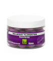ROD HUTCHINSON BOILIES POP-UP FLUORO MULBERRY FLORENTINE 15 MM