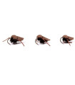 NASH ZIG BUGS CORIXA BARBLESS (3ud)